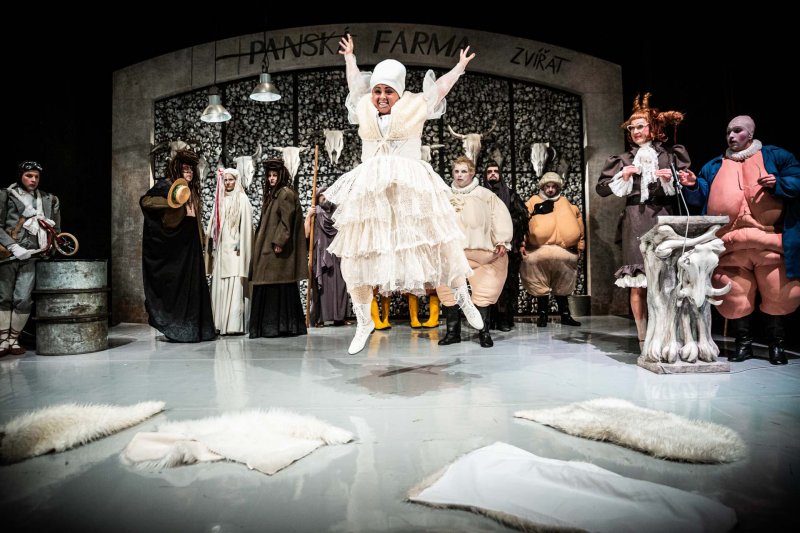 Farma zvířat, foto: Kuba Jíra 