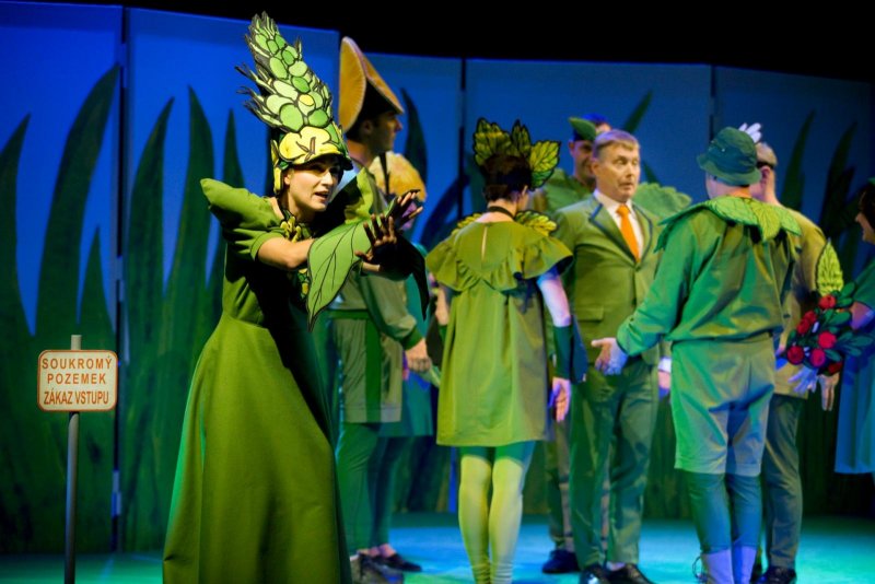 Anička a bylinkové kouzlo - Pavlína Hejcmanová - foto: Marek Malůšek 