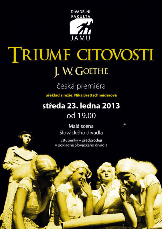 Triumf citovosti, plakát